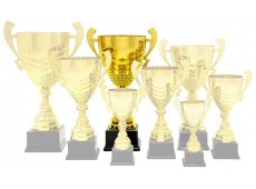 1023 B - Premium Cup